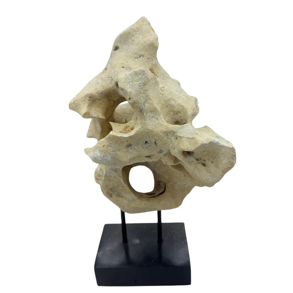 Indonesian Coral Stone On Teak Stand - Berbere Imports