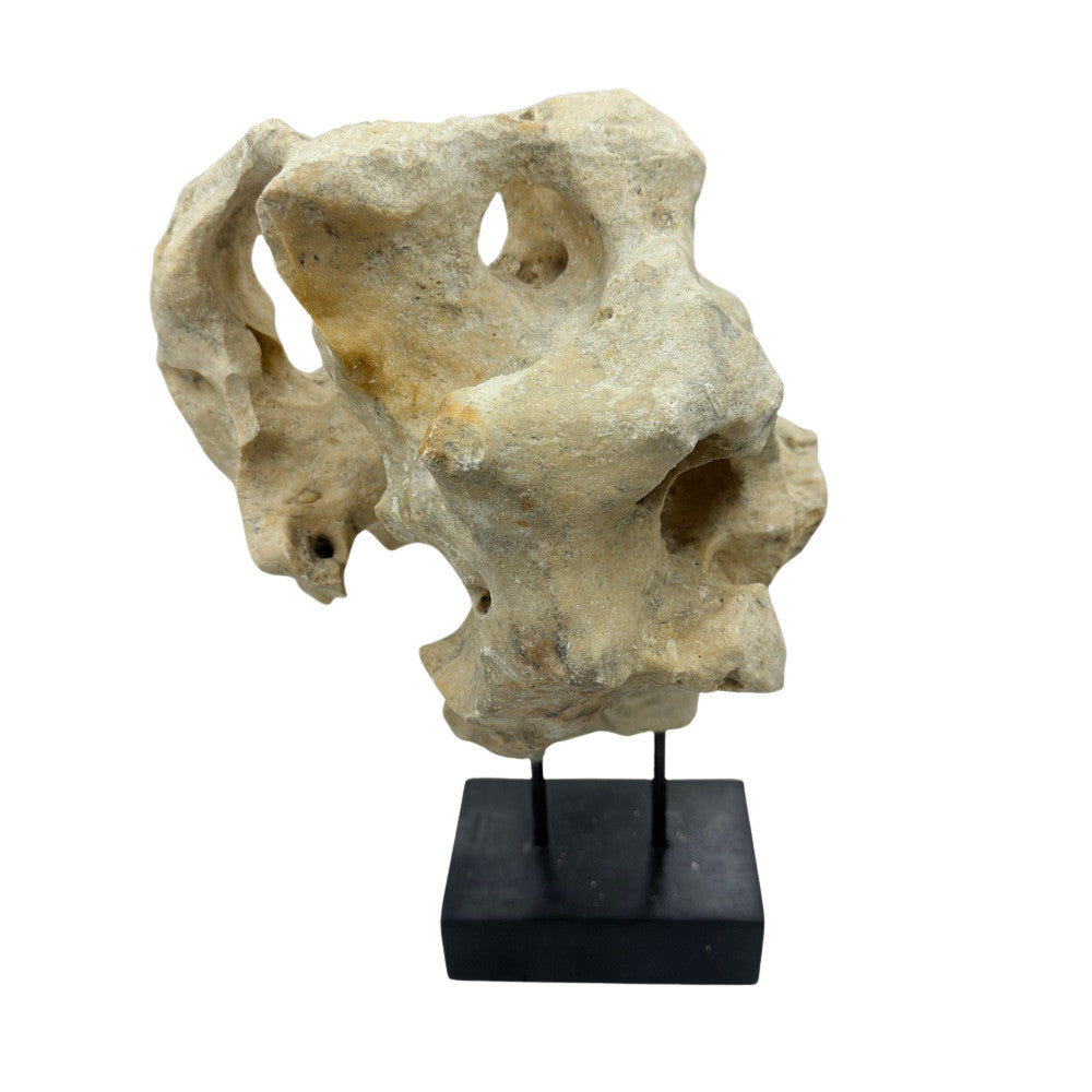 Indonesian Coral Stone On Teak Stand - Berbere Imports