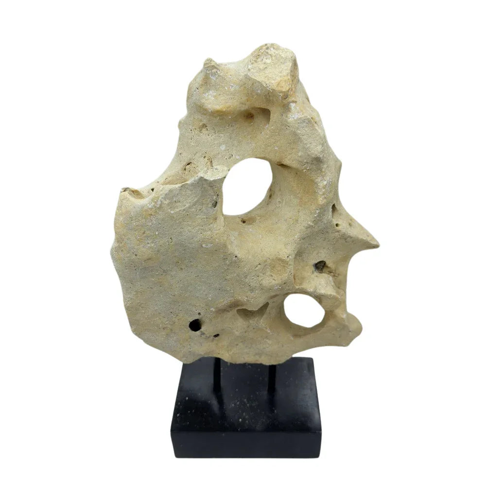 Indonesian Coral Stone On Teak Stand - Berbere Imports