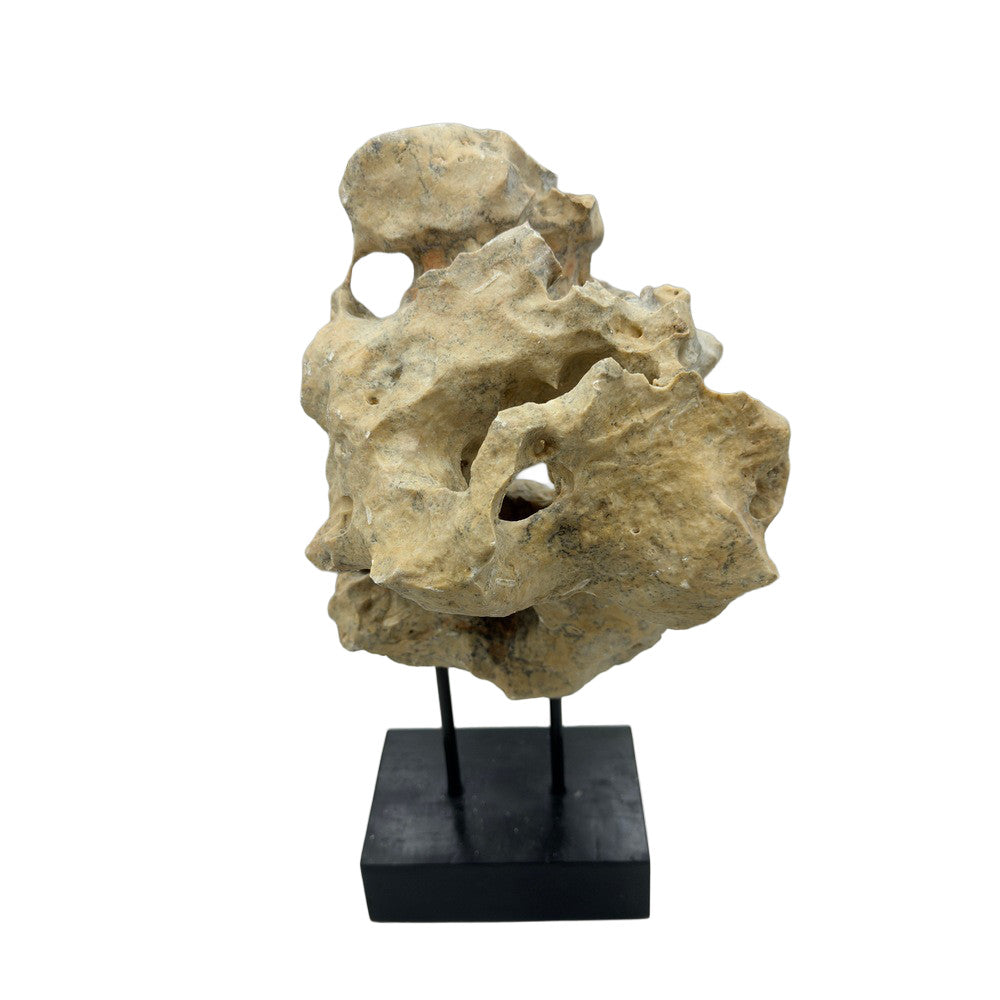 Indonesian Coral Stone On Teak Stand - Berbere Imports