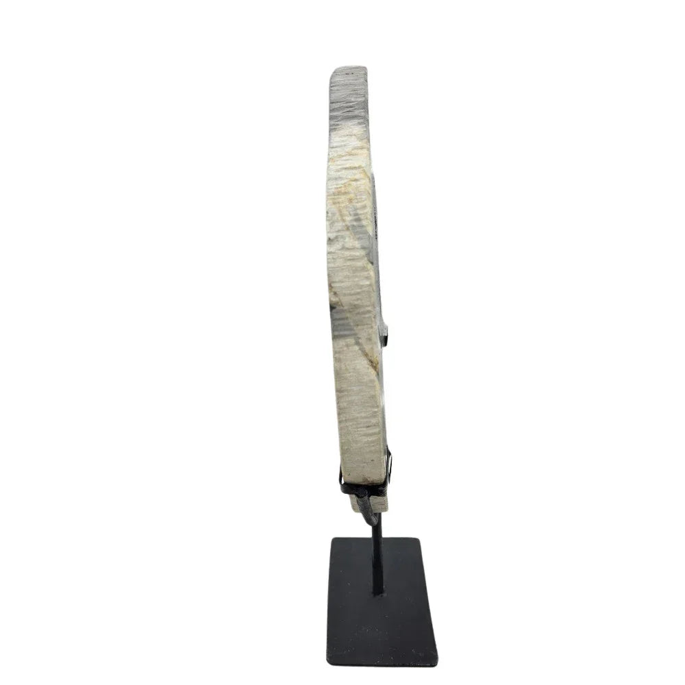 Petrified Wood Disc On Metal Stand - Berbere Imports
