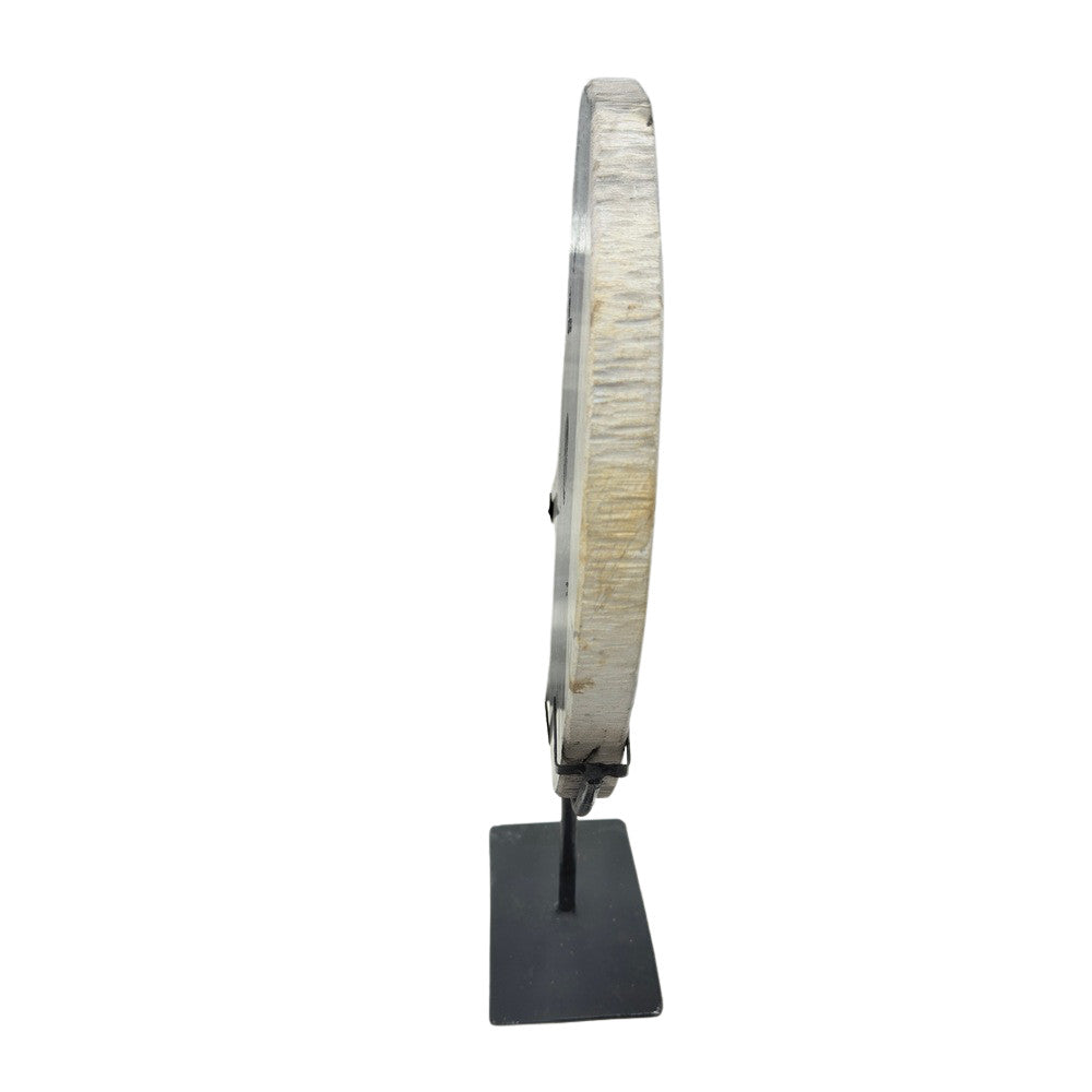 Petrified Wood Disc On Metal Stand - Berbere Imports
