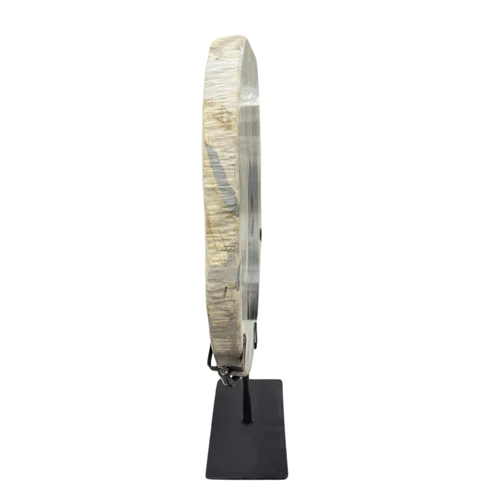 Petrified Wood Disc On Metal Stand - Berbere Imports