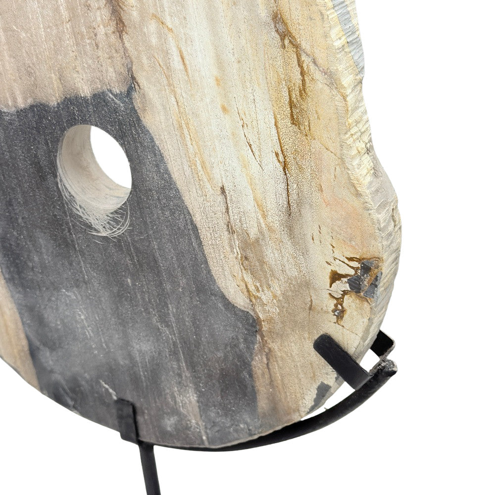 Petrified Wood Disc On Metal Stand - Berbere Imports