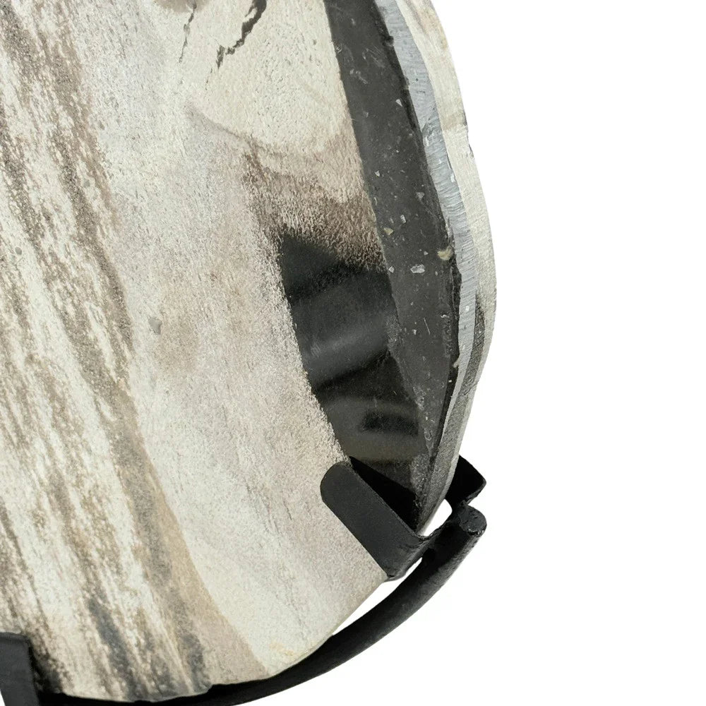 Petrified Wood Disc On Metal Stand - Berbere Imports