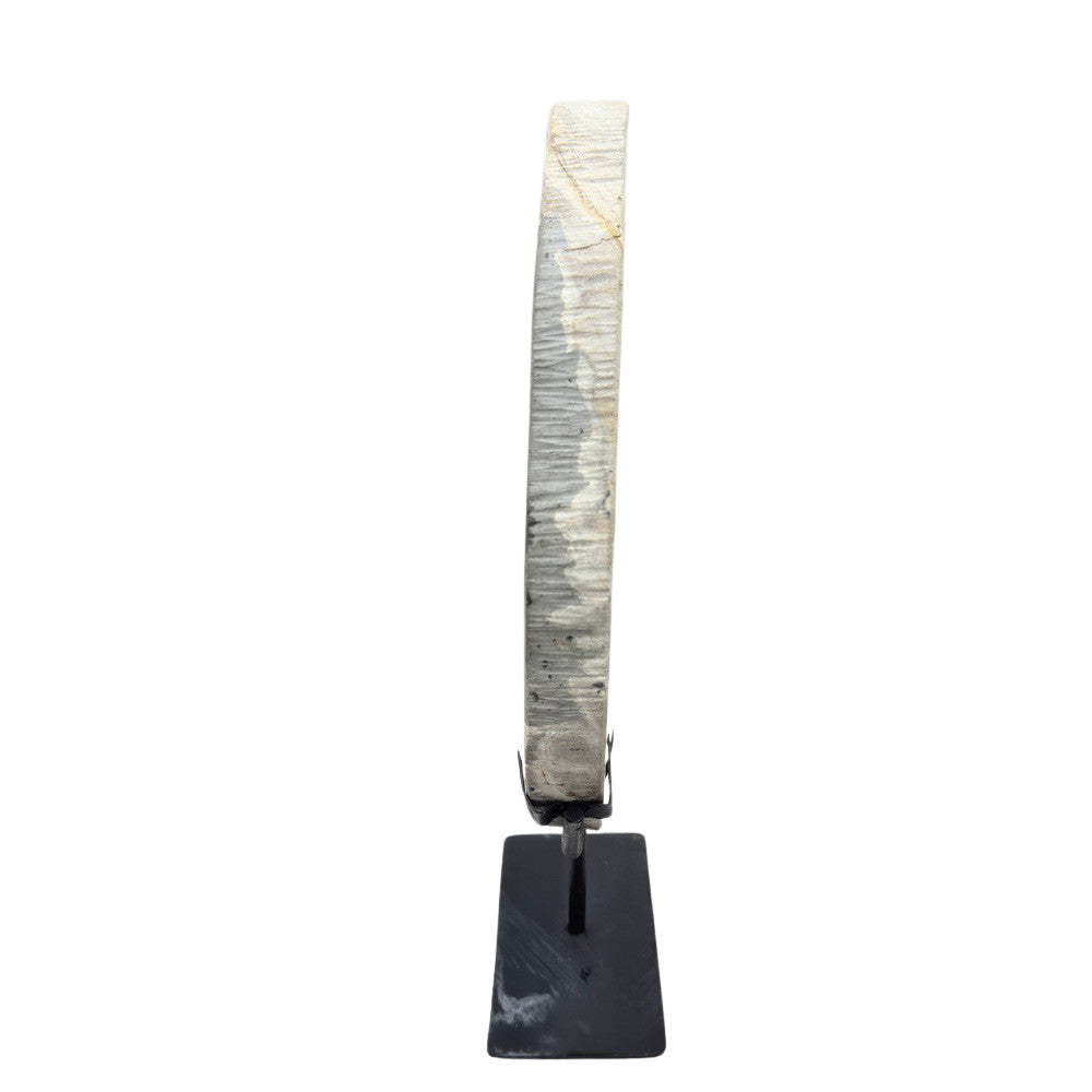 Petrified Wood Disc On Metal Stand - Berbere Imports