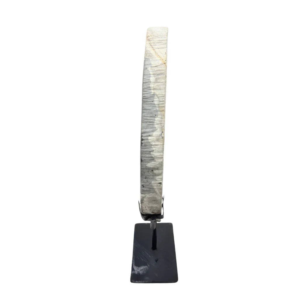 Petrified Wood Disc On Metal Stand - Berbere Imports