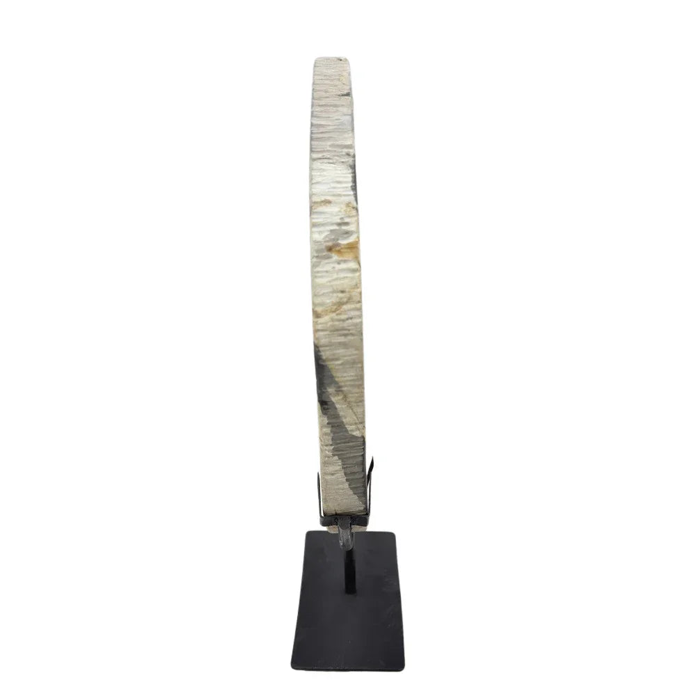 Petrified Wood Disc On Metal Stand - Berbere Imports