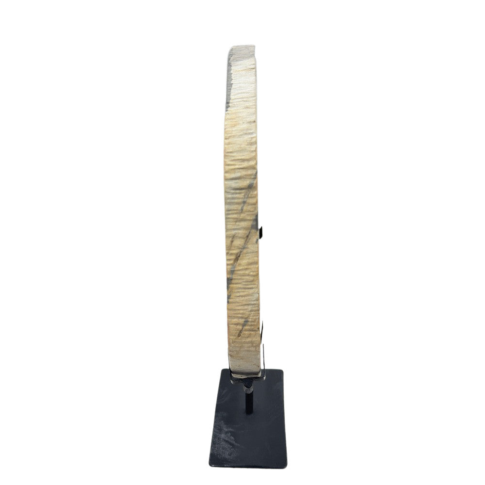 Petrified Wood Disc On Metal Stand - Berbere Imports
