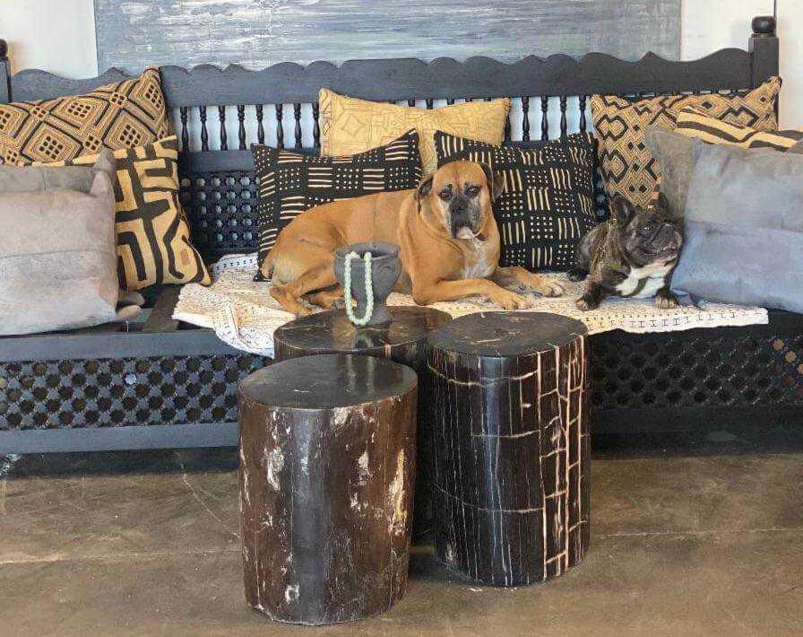 Petrified End Tables - Berbere Imports
