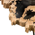 Petrified Wood Table Top - Berbere Imports
