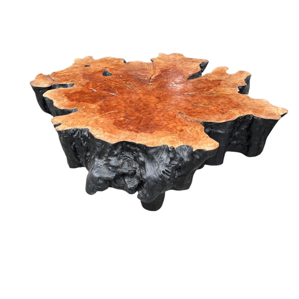 Live Edge Coffee Table - Berbere Imports