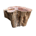 Live Edge Side Table - Berbere Imports