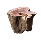 Live Edge Side Table - Berbere Imports
