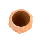 Bumpy Terracotta Planter - Large - Berbere Imports