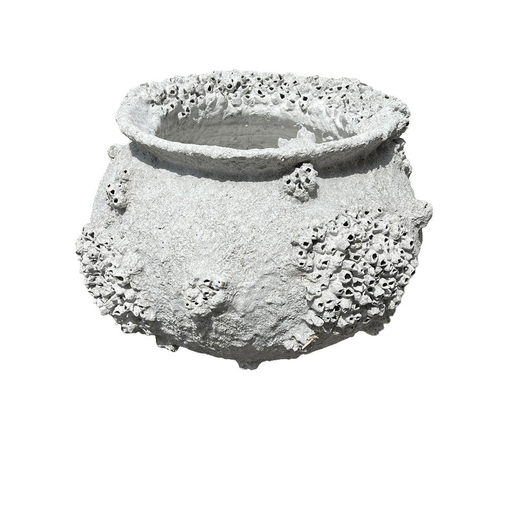 Barnacle Pot - Berbere Imports