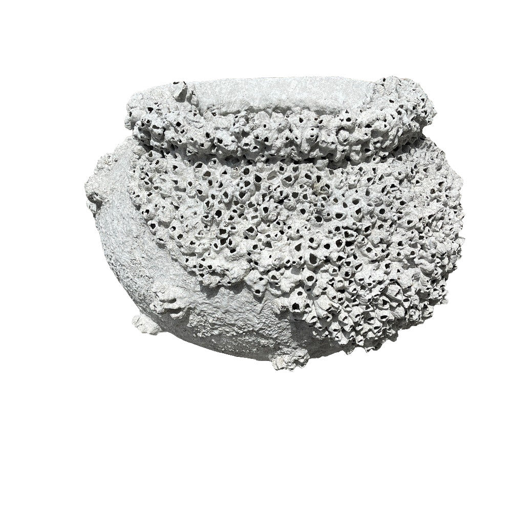 Barnacle Pot - Berbere Imports