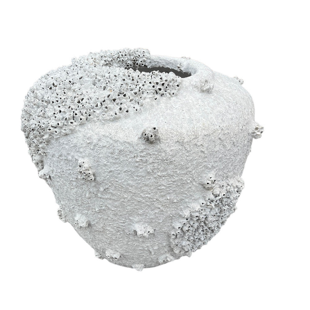 Barnacle Planter - Medium - Berbere Imports