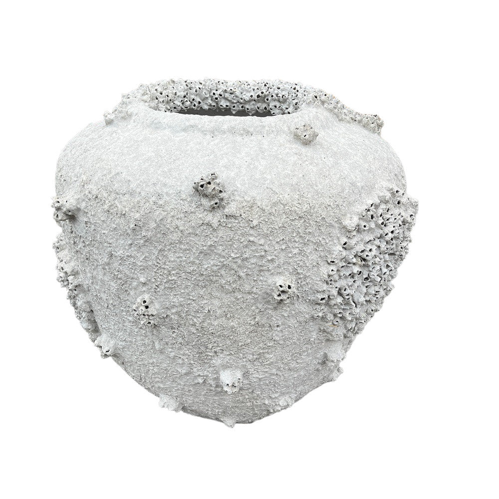 Barnacle Planter - Medium - Berbere Imports