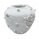 Barnacle Planter - Medium - Berbere Imports