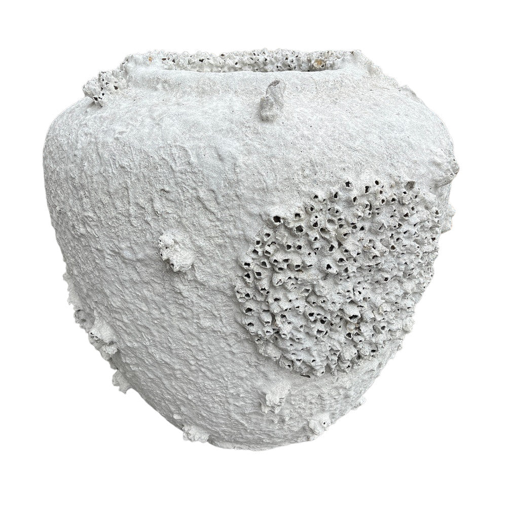 Barnacle Planter - Medium - Berbere Imports