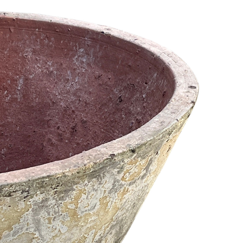 Vietnamese Shallow Bowl Planter - Large - Berbere Imports