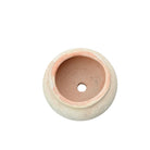 Vietnamese Low Planter - Berbere Imports