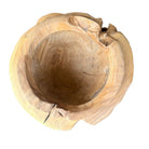 Indonesian Teal Root Planter - Berbere Imports