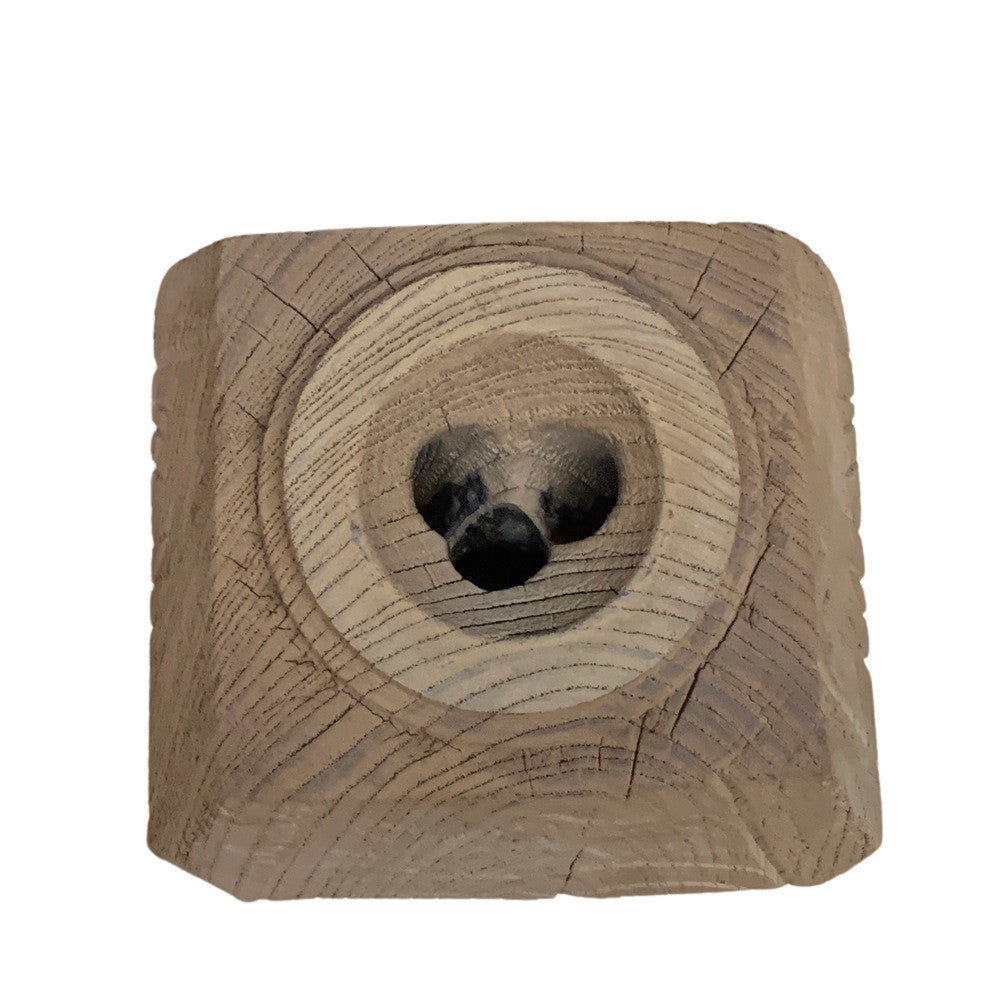 Indian Seed Extractor Candle Holder - Berbere Imports