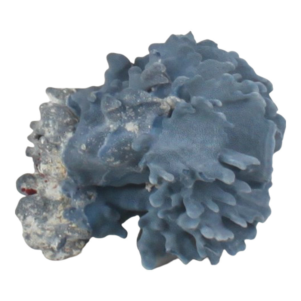 Blue Coral - Berbere Imports