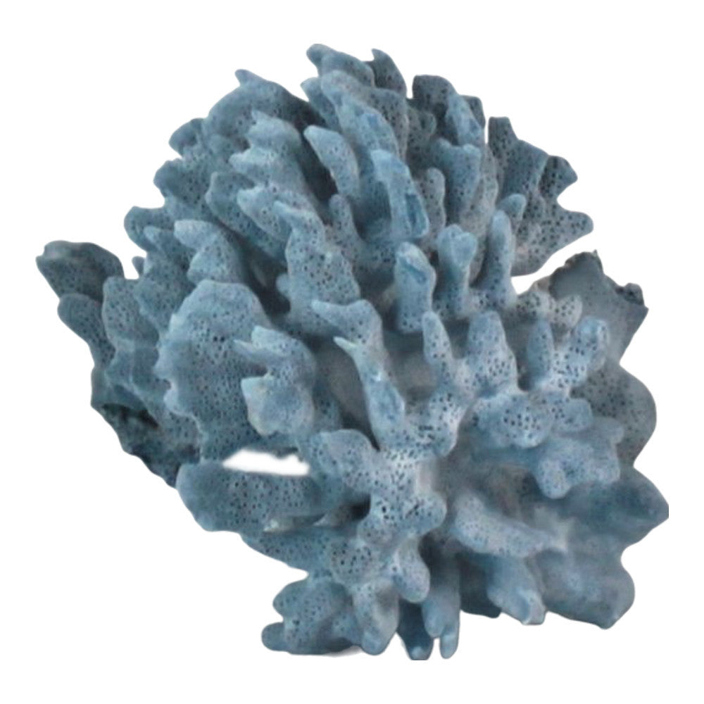 Blue Coral - Berbere Imports