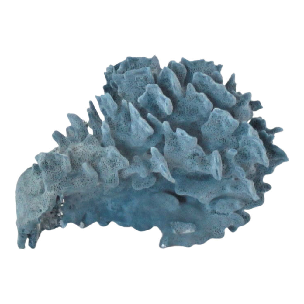 Blue Coral - Berbere Imports