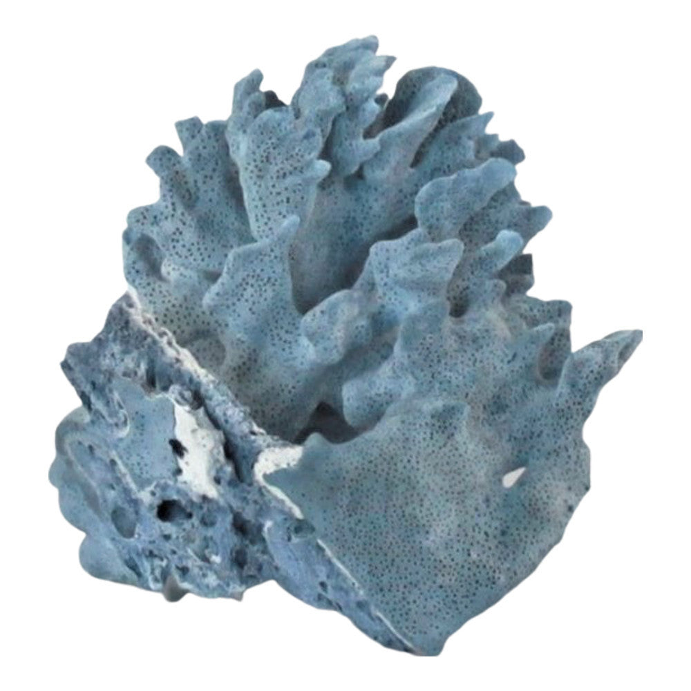 Blue Coral - Berbere Imports