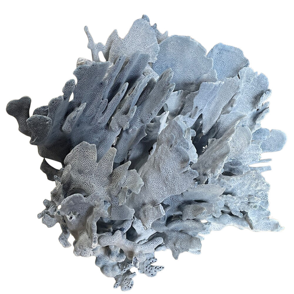 Blue Coral - Berbere Imports