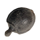 Handcrafted Sejnane Tortoise  - Berbere Imports