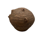 Thai Terracotta Artistic Sculpture Head - Berbere Imports