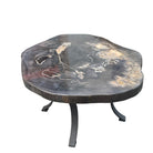 Petrified Wood Tabletop - Berbere Imports