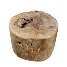 Indonesian Petrified Wood Stool - Berbere Imports