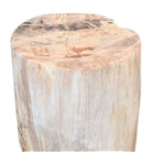 Indonesian Petrified Wood Stool - 79 Kg - Berbere Imports