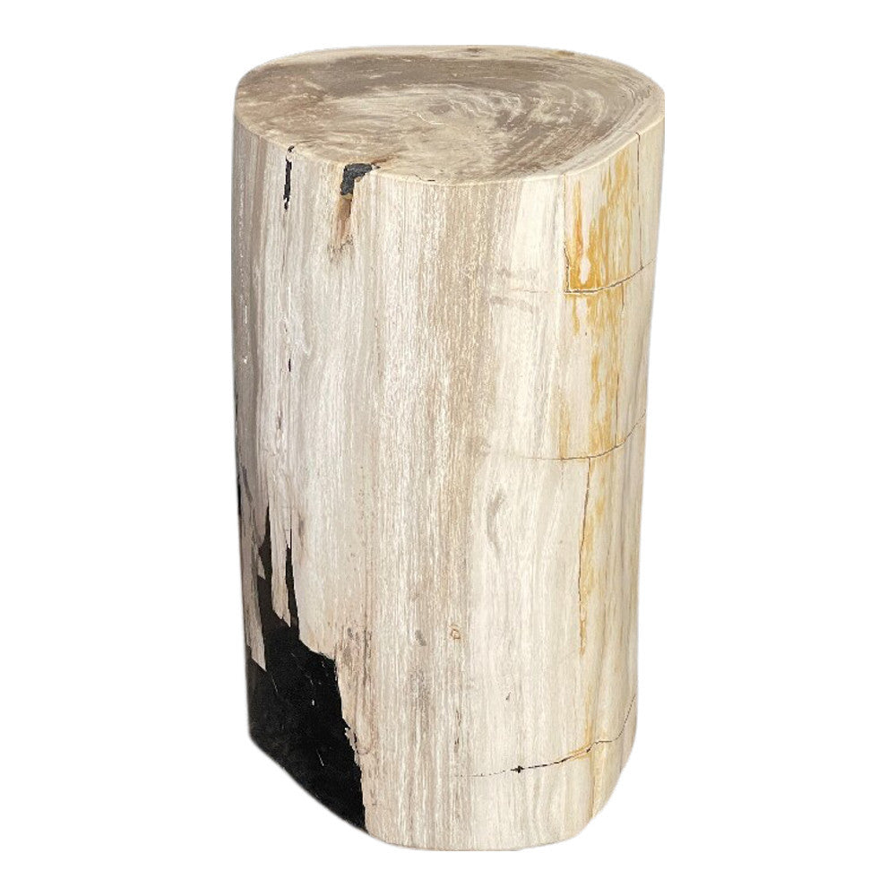 Indonesian Petrified Wood Stool - Berbere Imports