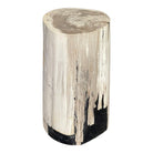 Indonesian Petrified Wood Stool - Berbere Imports