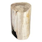 Indonesian Petrified Wood Stool - Berbere Imports