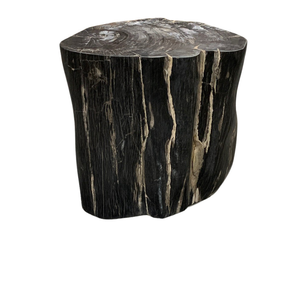 Petrified Wood Stump - Berbere Imports