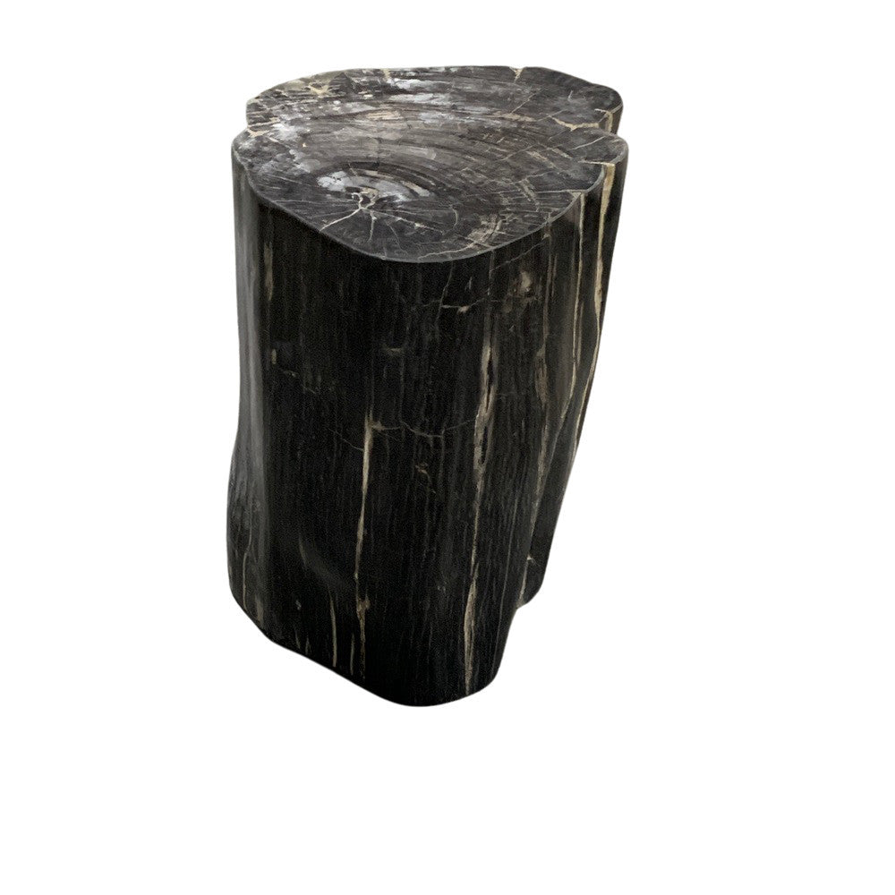 Petrified Wood Stump - Berbere Imports