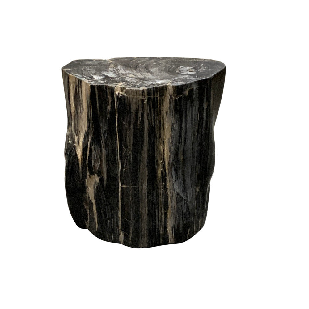 Petrified Wood Stump - Berbere Imports