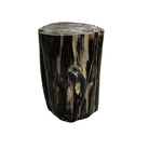 Petrified Wood Stump - Berbere Imports