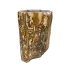 Petrified Wood Stump - Berbere Imports