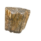 Petrified Wood Stump - Berbere Imports