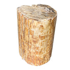 Petrified Wood Stump - Berbere Imports