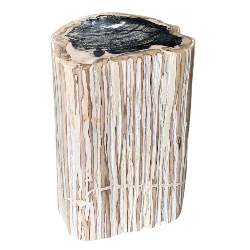 Petrified Wood Stump - Berbere Imports